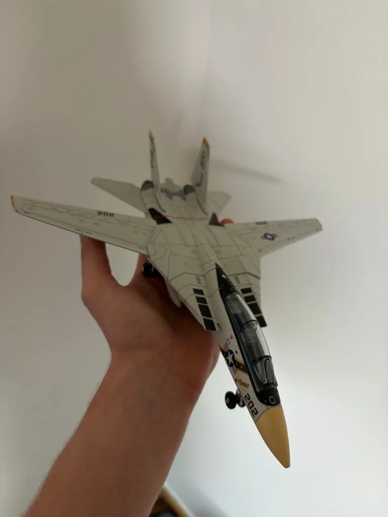 Customer photo — F-14 Tomcat 1:72 scale model held for size reference
