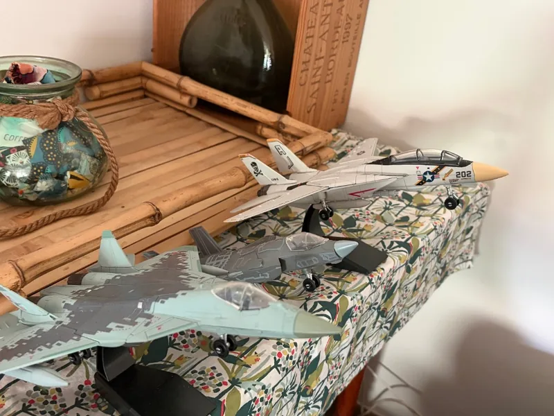 Customer photo — multiple AeroLegends aircraft models displayed together on a shelf