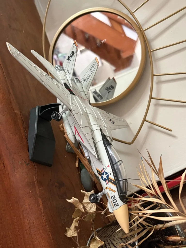 Customer photo — F-14 Tomcat 1:72 scale model on display stand