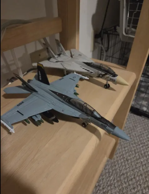 Customer photo from Raymond J. — assembled F/A-18 Super Hornet and F-14 Tomcat AeroLegends models